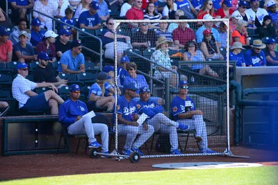 DSC_1821 (Large).JPG